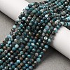 Natural Apatite Beads Strands G-A276-C08-4mm-01-1