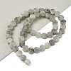 Natural Labradorite Beads Strands G-M454-B07-1