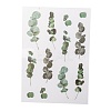 Flower Pattern Waterproof Self Adhesive Hot Stamping Stickers DIY-I063-06-2