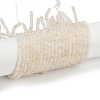 Natural White Moonstone Beads Strands G-Z058-B01-02A-1