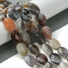 Natural Botswana Beads Strands G-H004-B02-04-2