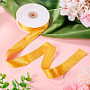1 Roll Imitation Leather Polyester Ribbon LC-TA0001-02G-4
