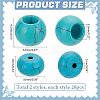 40Pcs 2 Styles Synthetic Turquoise European Beads G-PH0002-56-2
