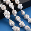 Natural Baroque Pearl Keshi Pearl Beads Strands PEAR-S019-05B-5