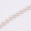 White Acrylic Round Beads Bag Handles FIND-TAC0006-24G-01-2