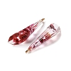 Inner Dried Flower Transparent Resin Pendants RESI-A043-08A-2