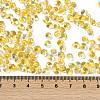 6/0 Spray Paint Fringe Glass Seed Beads SEED-H003-11A-4