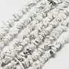 Natural Howlite Beads Strand LS-G-F328-05-1