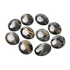 Natural Dendritic Jasper Cabochons G-F608-02A-01-1