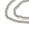 Transparent Glass Beads Strands GLAA-F094-A05-3