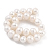 Natural Cultured Freshwater Pearl Beads Strands PEAR-C003-16C-3