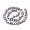 Natural Cultured Freshwater Pearl Beads Strands X-PEAR-R064-24-3