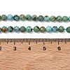 Natural HuBei Turquoise Beads Strands G-P629-A04-03-5