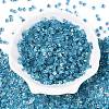 6/0 Transparent Inside Colours Glass Seed Beads SEED-N006-003D-2