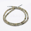 Natural Labradorite Beads Strands G-P322-28-4mm-2