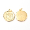 Brass Micro Pave Clear Cubic Zirconia Charms ZIRC-O036-21G-2