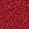 MIYUKI Delica Beads SEED-MY11-DB0214-1
