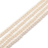 Glass Pearl Beads Strands HY-YW0001-07-2