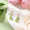 Handmade Glass Seed Beads Apple Dangle Earrings EJEW-MZ00575-4