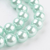 Eco-Friendly Dyed Glass Pearl Round Beads Strands HY-A002-10mm-RB034N-3