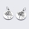 316 Surgical Stainless Steel Micro Pave Clear Cubic Zirconia Charms ZIRC-J040-17P-1