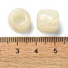 Resin European Beads RESI-U008-02G-2