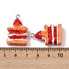 Spray Painted Opaque Resin Pendants RESI-F061-04-3