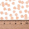 FGB Frosted Transparent Glass Seed Beads SEED-N013-03A-04-4