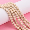 Natural Fossil Beads Strands G-E110-6mm-2-2