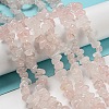 Natural Rose Quartz Chips Beads Strands F007-3-7