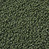 MIYUKI Delica Beads SEED-MY11-DB1135-3