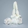 Preciosa® MAXIMA Crystal No Hotfix Flatback Stones Y-PRC-NSS8-00030-242-5