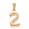 304 Stainless Steel Pendants STAS-L210-05C-G-1