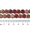 Natural Red Rainbow Jasper Beads Strands G-K359-C09-01-5