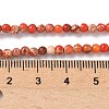 Dyed Natural Regalite/Imperial Jasper/Sea Sediment Jasper Beads Strands G-B124-C05-03-2