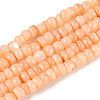 Natural Freshwater Shell Dyed Beads Strands SHEL-T020-29A-07-1