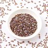MIYUKI Half TILA Beads SEED-MY05-HTL257-2