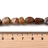 Natural Petrified Wood Beads Strands G-L621-C11-01-5