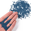 11/0 Grade A Baking Paint Glass Seed Beads X-SEED-N001-A-1013-4