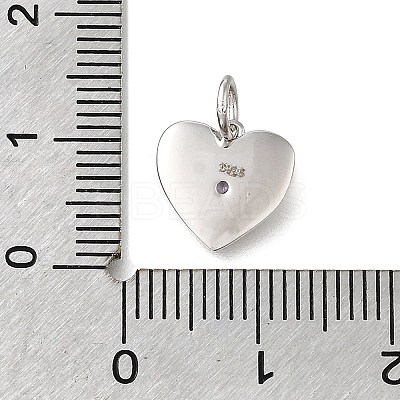 925 Sterling Silver Micro Pave Clear Cubic Zirconia Charms STER-V001-01P-02-1