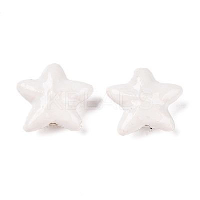 Handmade Porcelain Beads PORC-N008-03F-1