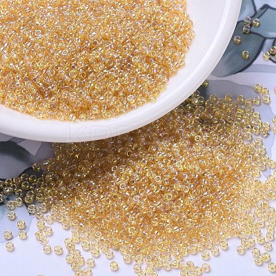 MIYUKI Round Rocailles Beads SEED-X0054-RR0251-1