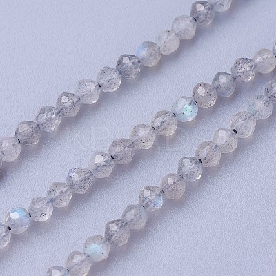 Natural Labradorite Beads Strands G-F619-15-2mm-1