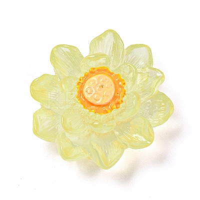 Luminous Transparent Resin Decoden Cabochons CRES-F032-B04-1