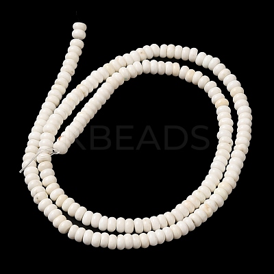 Natural Howlite Beads Strands G-K284-C01-01-1