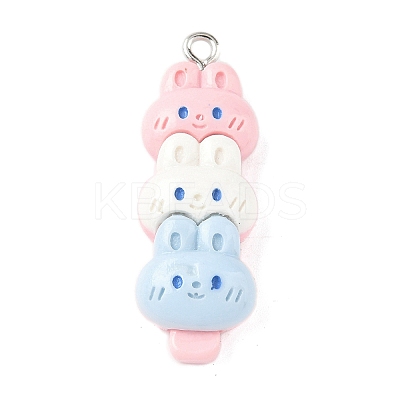Animal Theme Resin Pendants LS-RESI-V005-001B-1