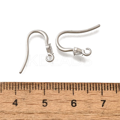 304 Stainless Steel Rhinestone Earring Hooks STAS-D310-01P-03-1