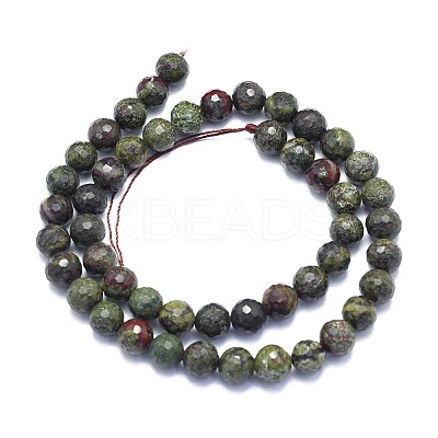 Natural Dragon Blood Jasper Beads Strands G-K310-A26-8mm-1