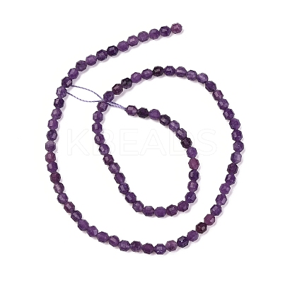 Natural Lepidolite/Purple Mica Stone Beads Strands G-A260-A04-01-1