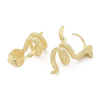 Rack Plating Brass Hoop Earrings EJEW-F324-05G-1